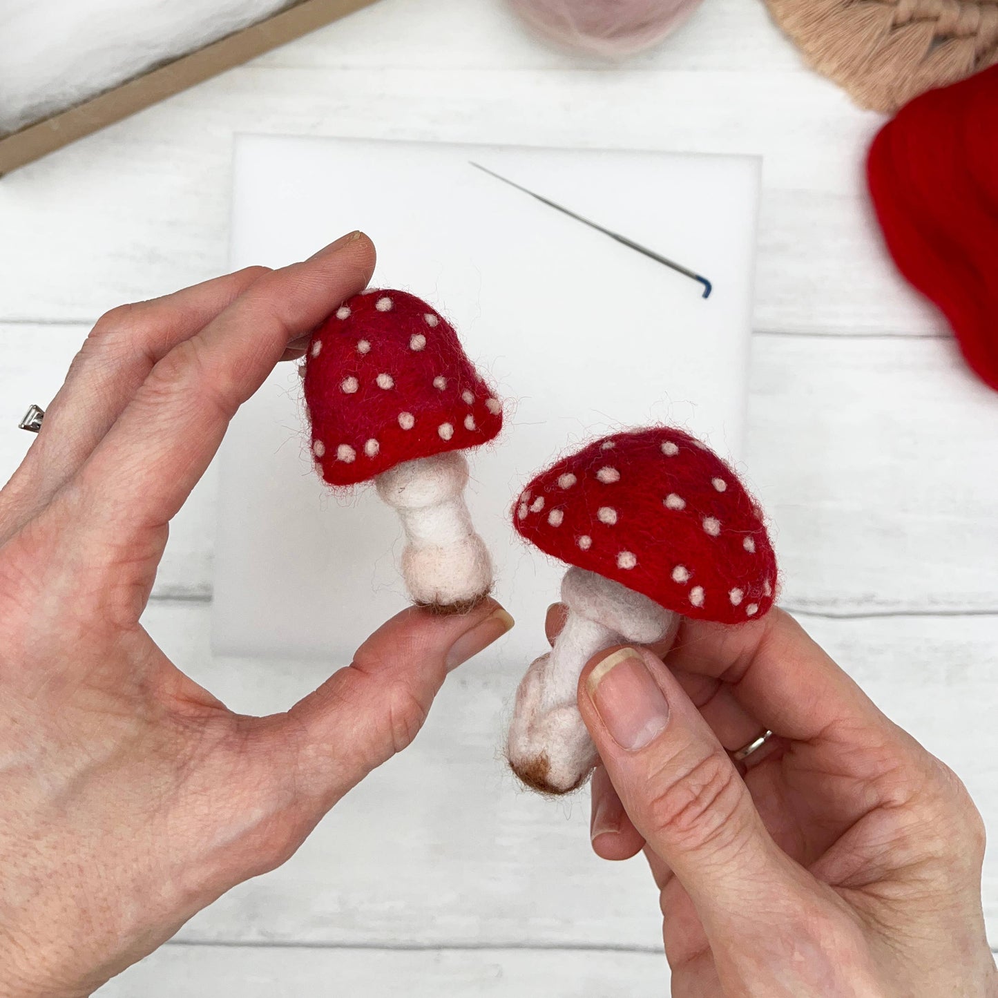 Needle Felting Kit - Toadstools