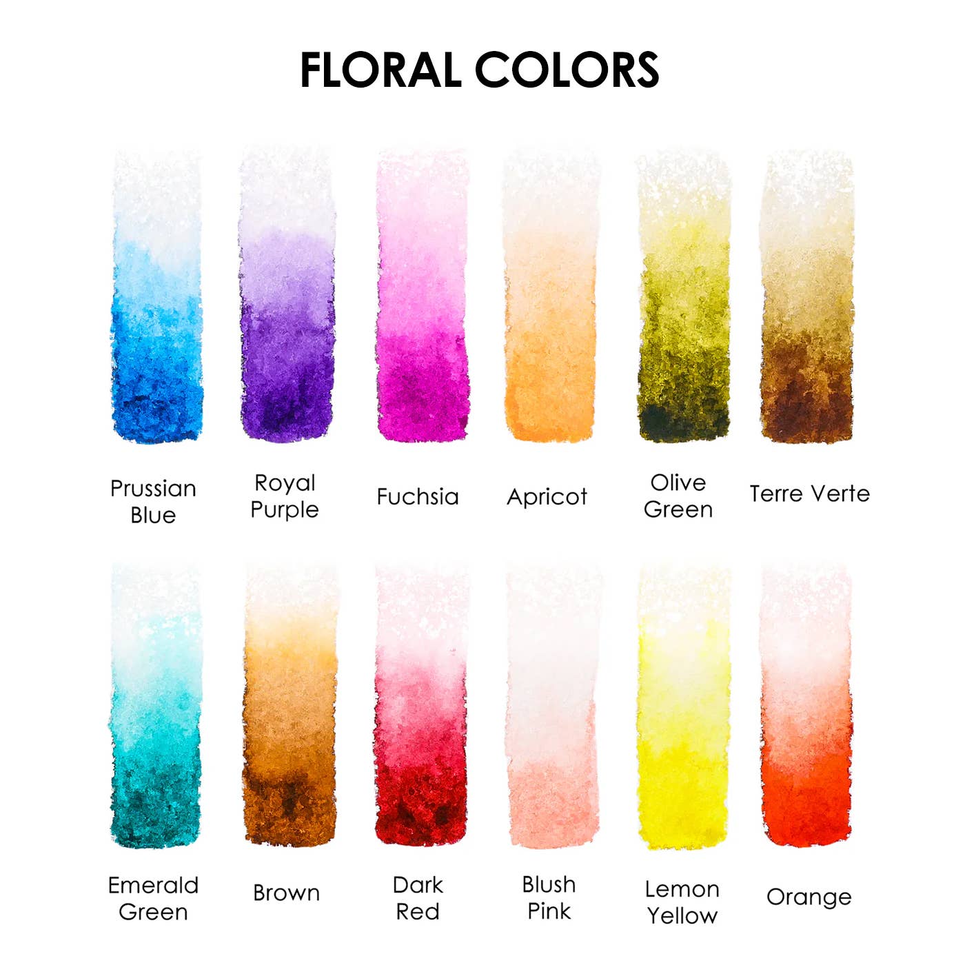 Watercolor Pocket Set of 12 - Floral Colors