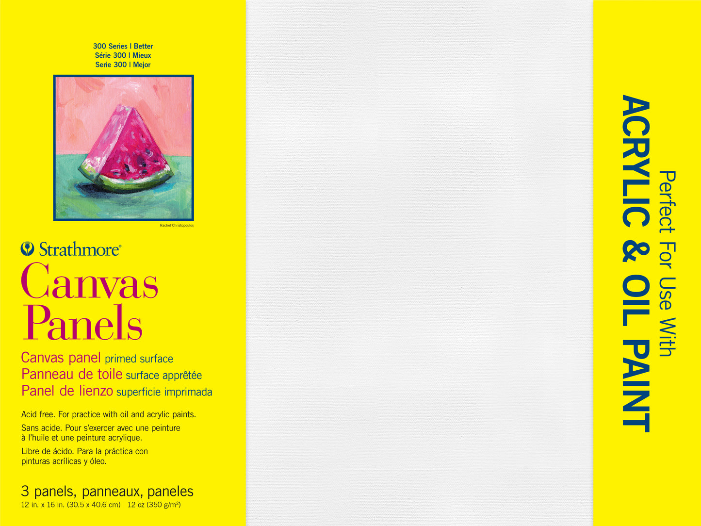 300 Series Canvas Panels 3ct
