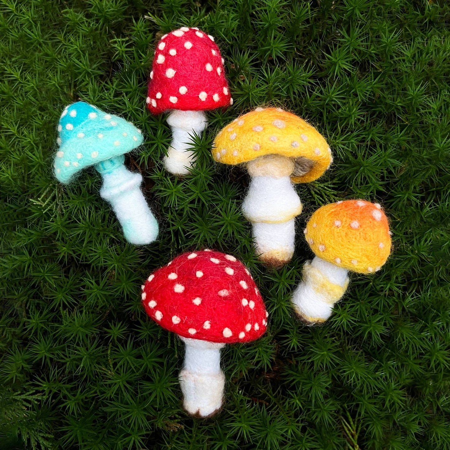 Needle Felting Kit - Toadstools