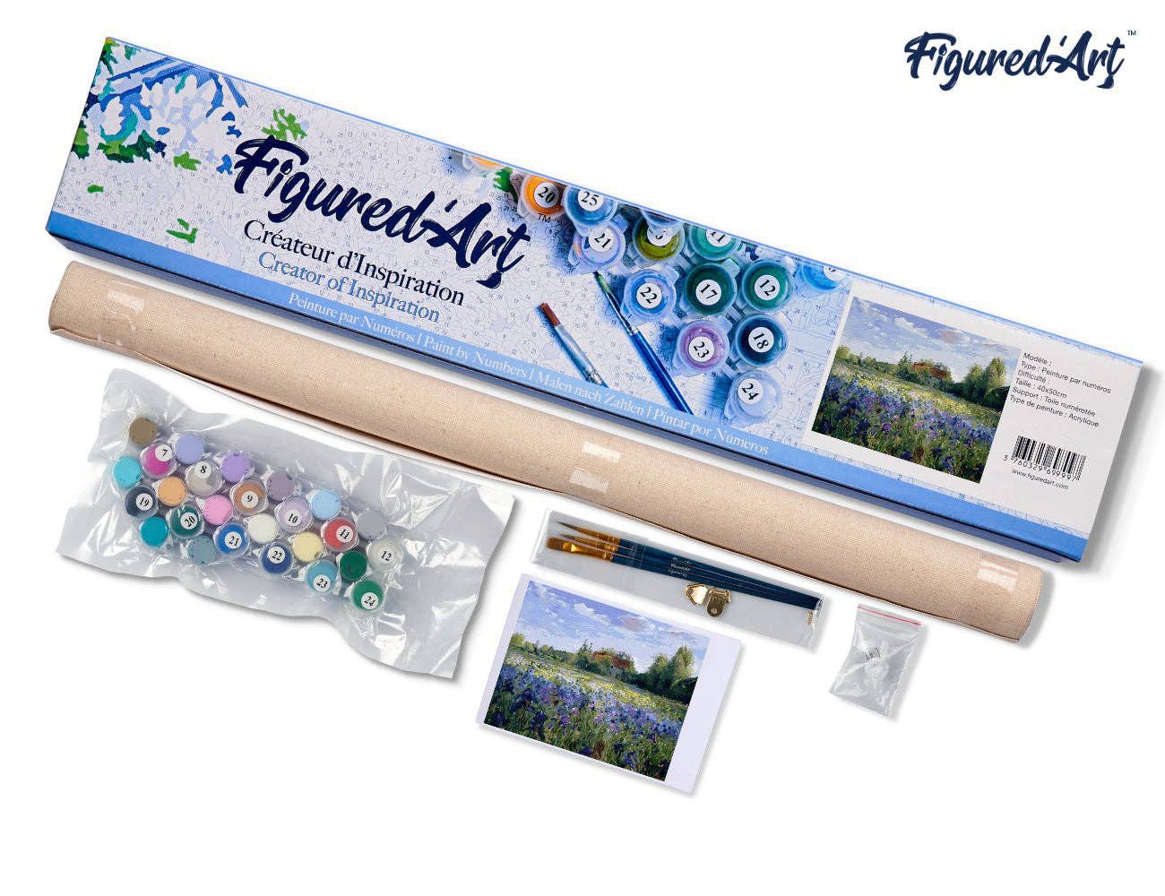 Paint by numbers - Countryside field and Blue Flowers