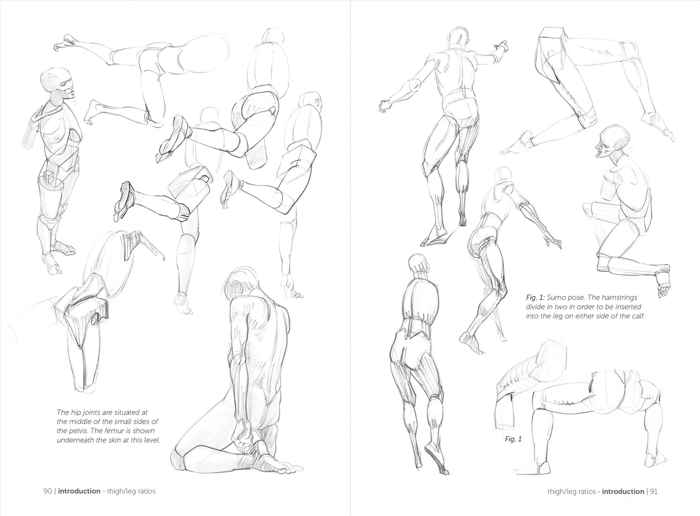 Morpho: Simplified Forms: Anatomy for Artists (Morpho: Anatomy for Artists #2)