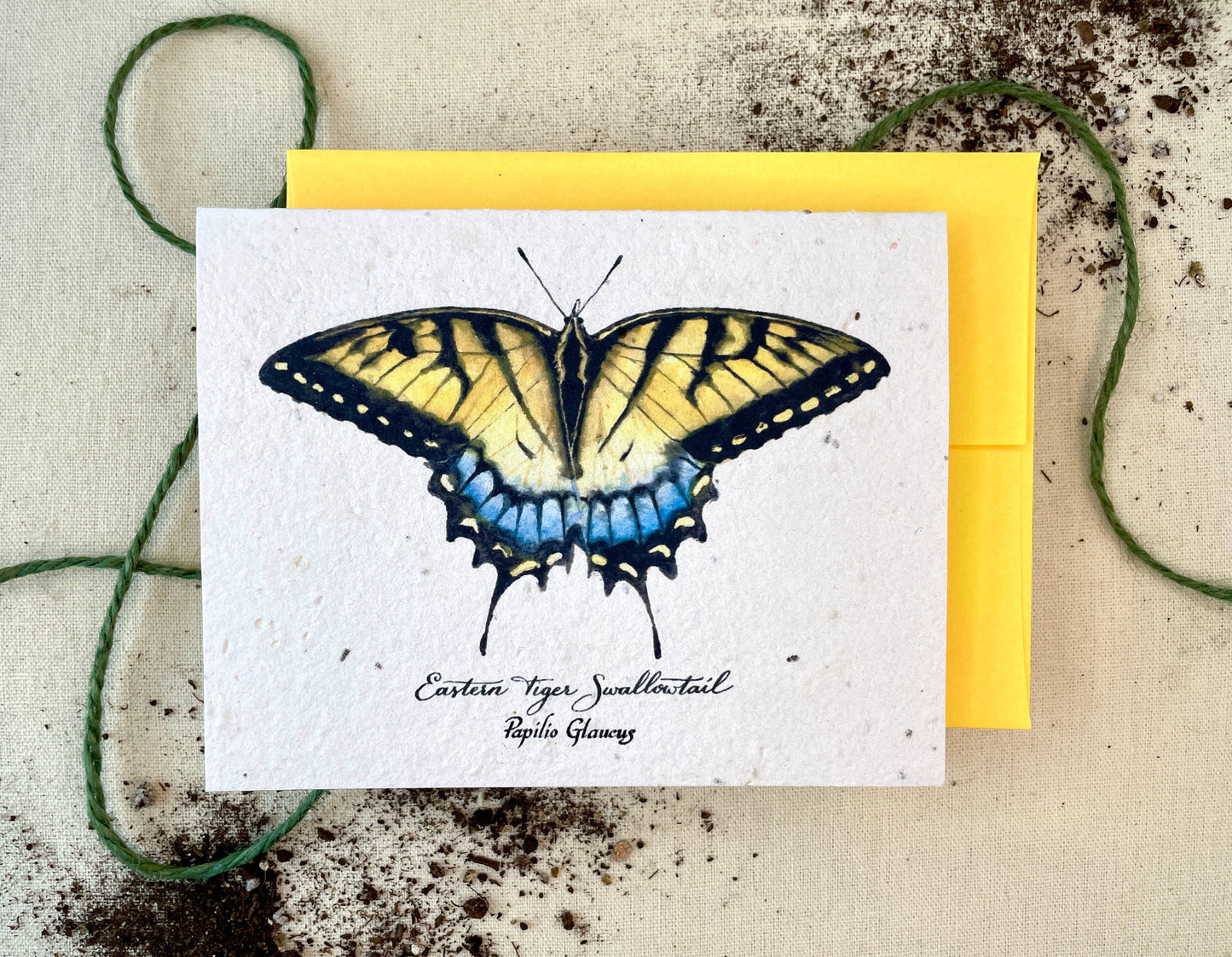 Eastern Tiger Swallowtail Butterfly Plantable Wildflower