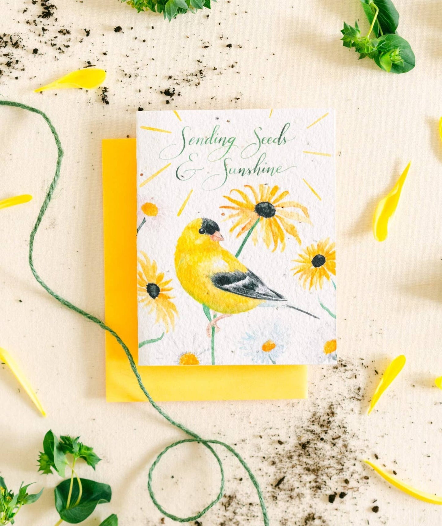 Seeds & Sunshine Plantable Wildflower Seed Card