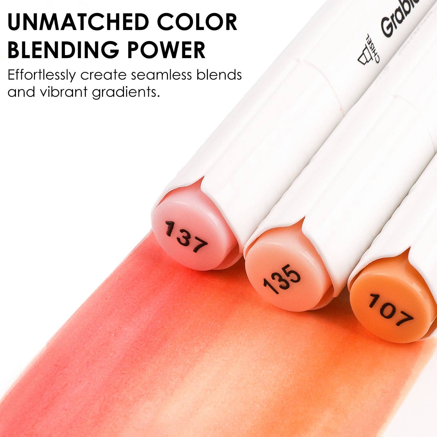 Dual-Tip Skin Tone Alcohol-Based Marker Set of 36