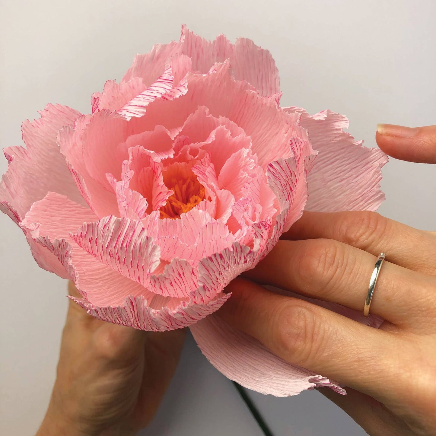 Paper Flower Kit - Peony