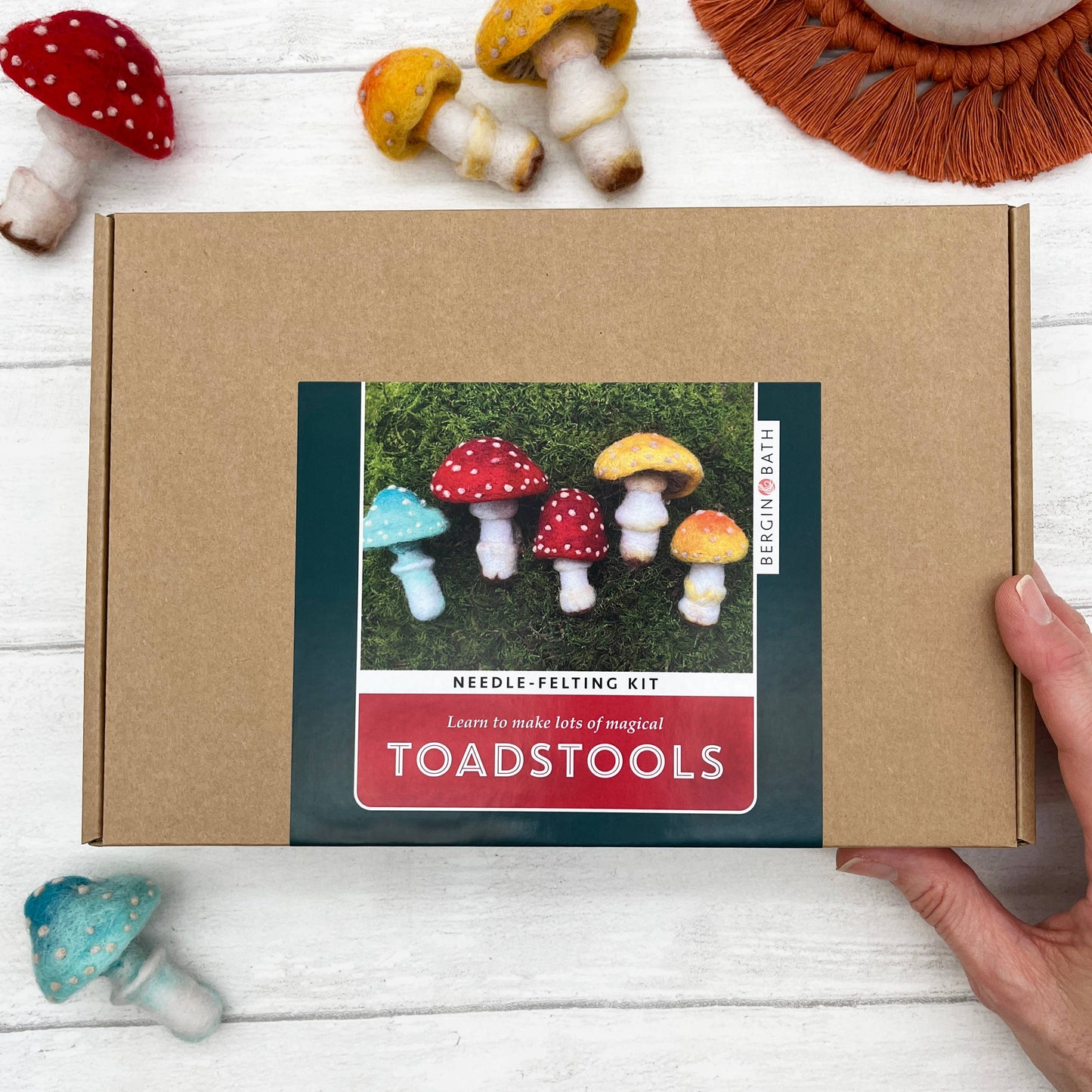 Needle Felting Kit - Toadstools