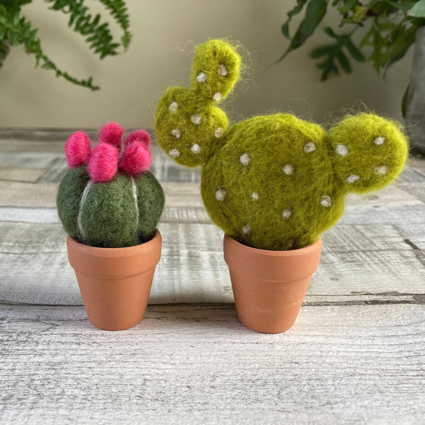 Needle Felting Kit - Cacti