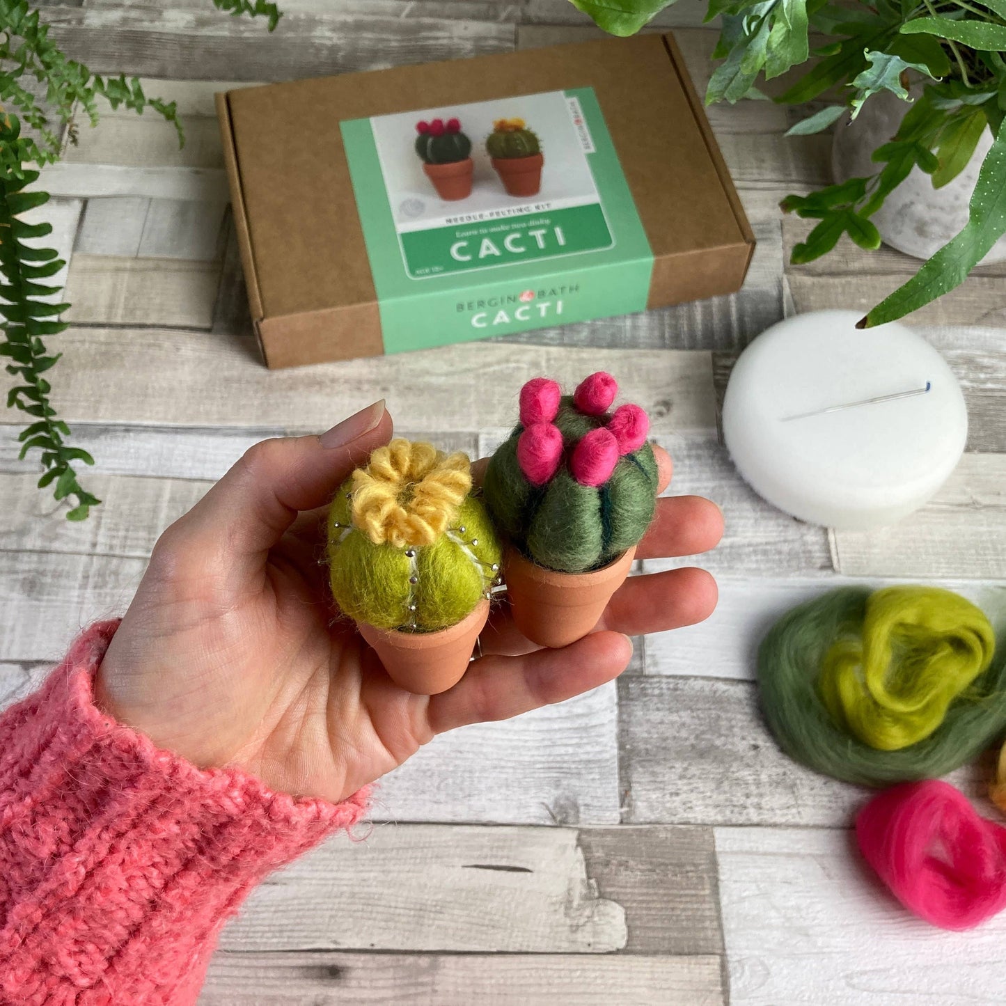 Needle Felting Kit - Cacti