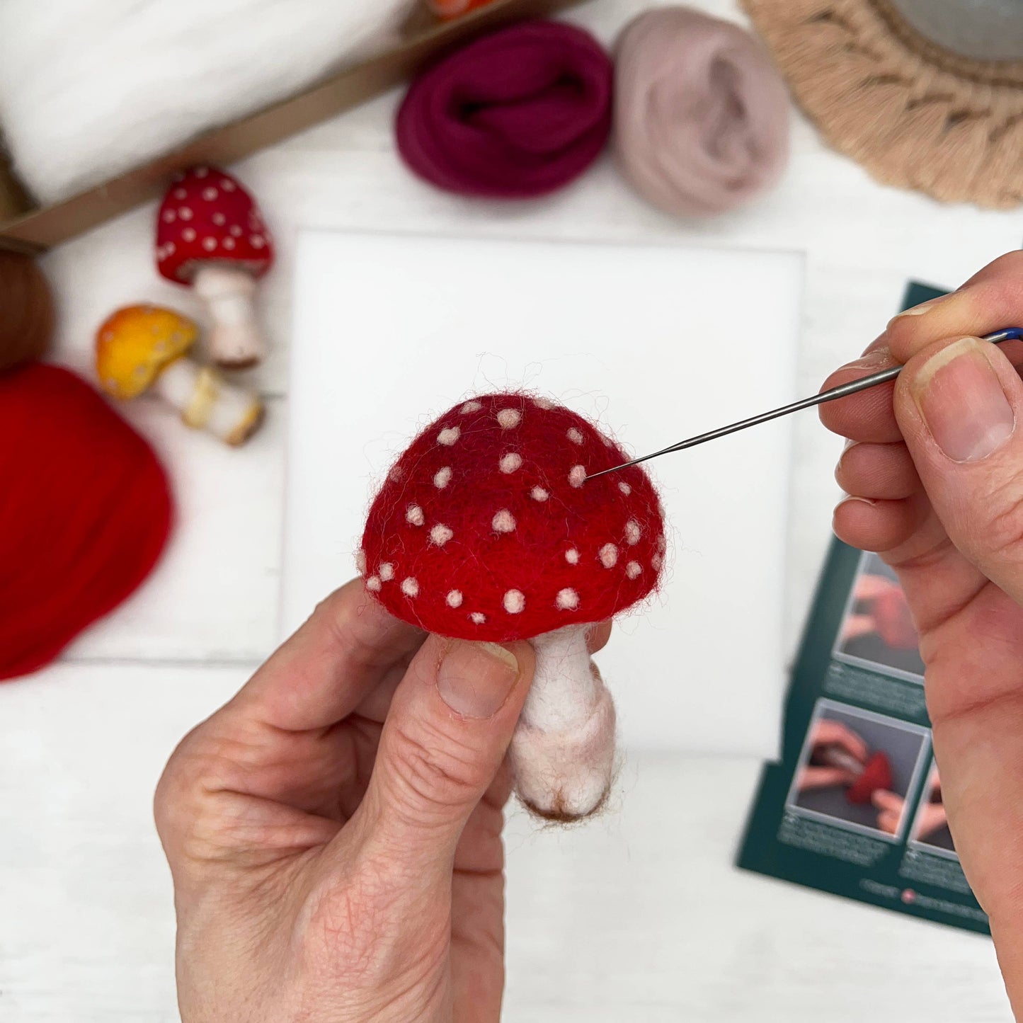 Needle Felting Kit - Toadstools