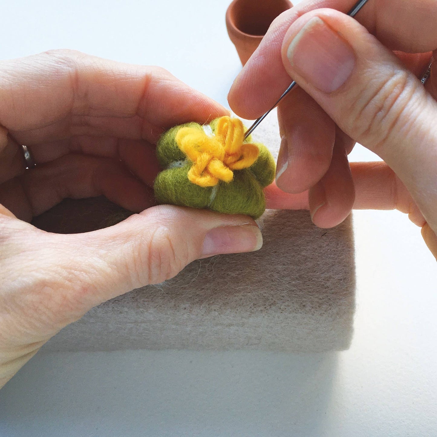 Needle Felting Kit - Cacti