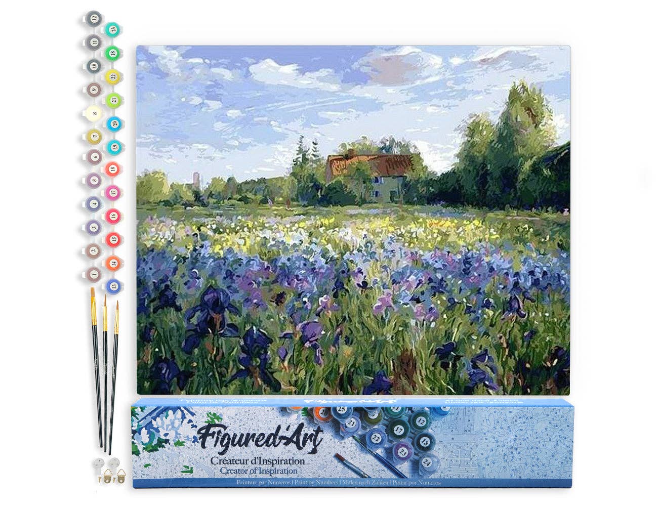 Paint by numbers - Countryside field and Blue Flowers
