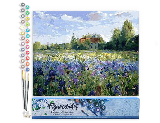 Paint by numbers - Countryside field and Blue Flowers