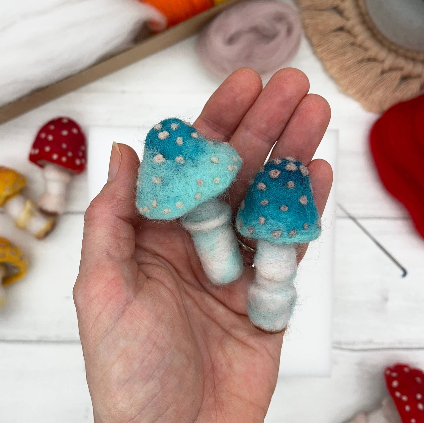 Needle Felting Kit - Toadstools