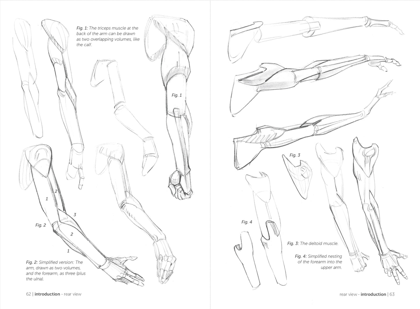 Morpho: Simplified Forms: Anatomy for Artists (Morpho: Anatomy for Artists #2)