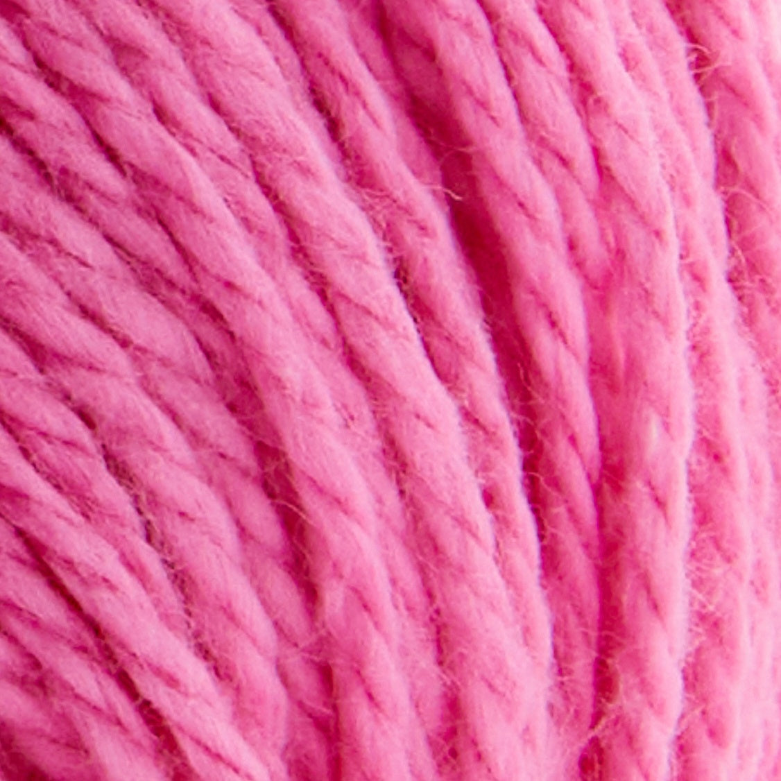 Premier Yarns Cotton Sprout Yarn