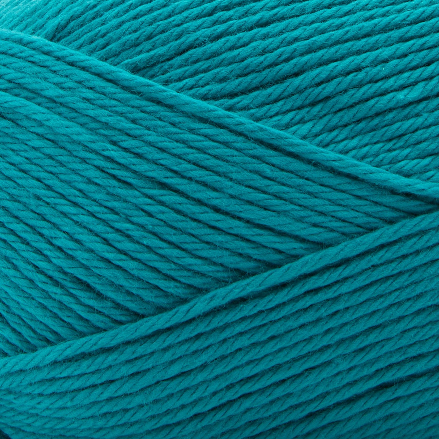 Premier Yarns Cotton Sprout Worsted Yarn