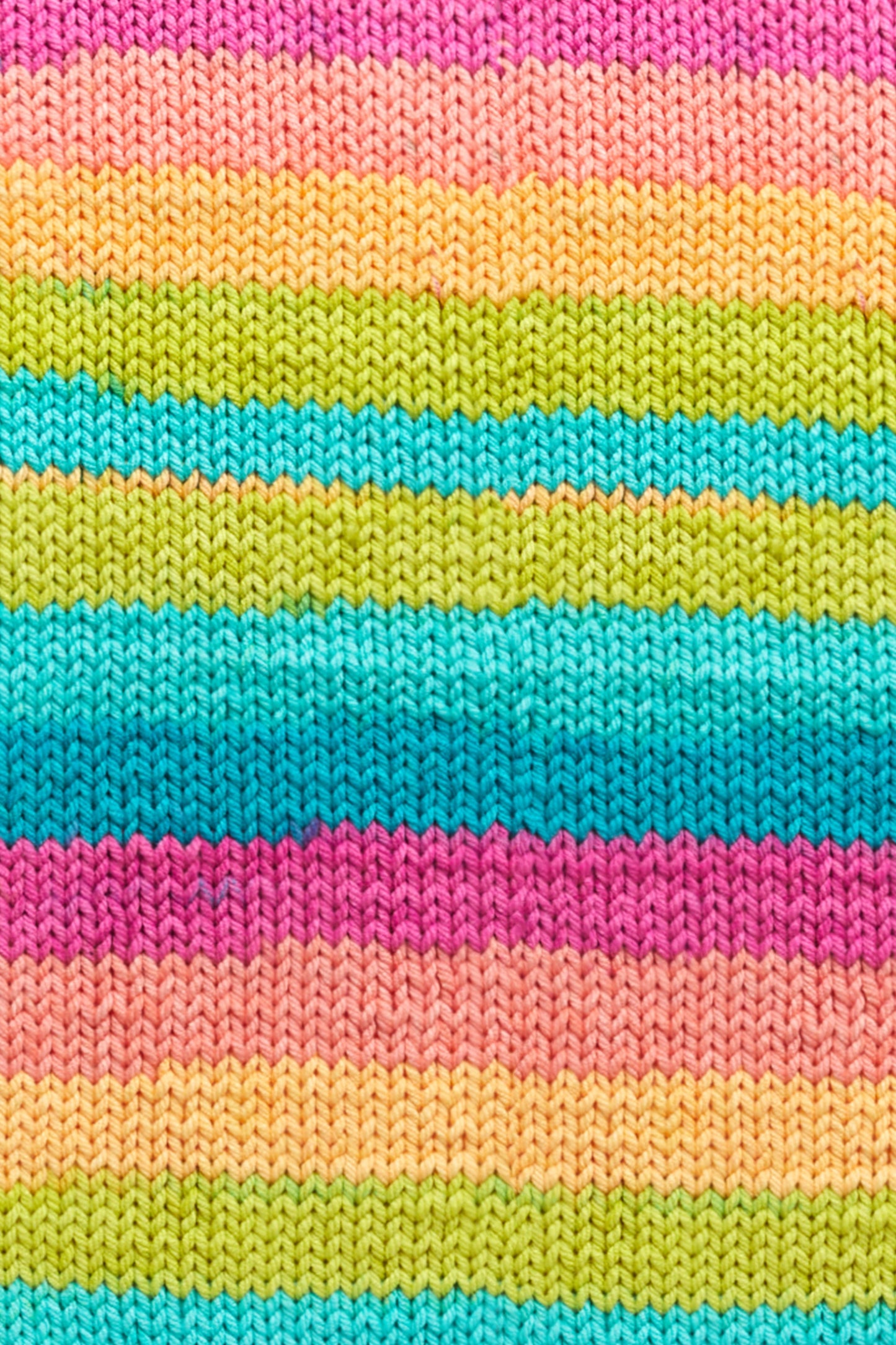 Premier Sweet Roll Bold