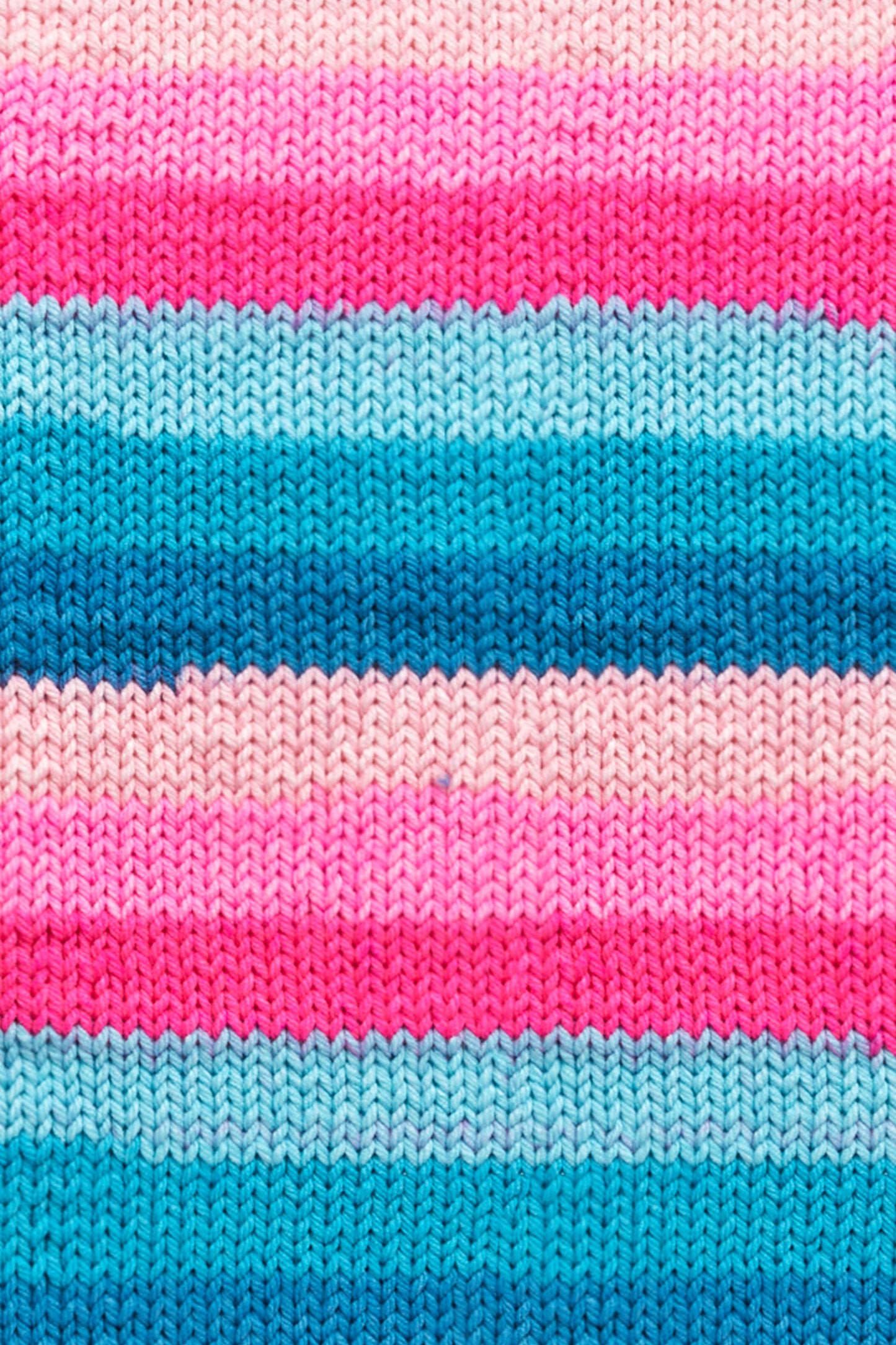 Premier Sweet Roll Bold