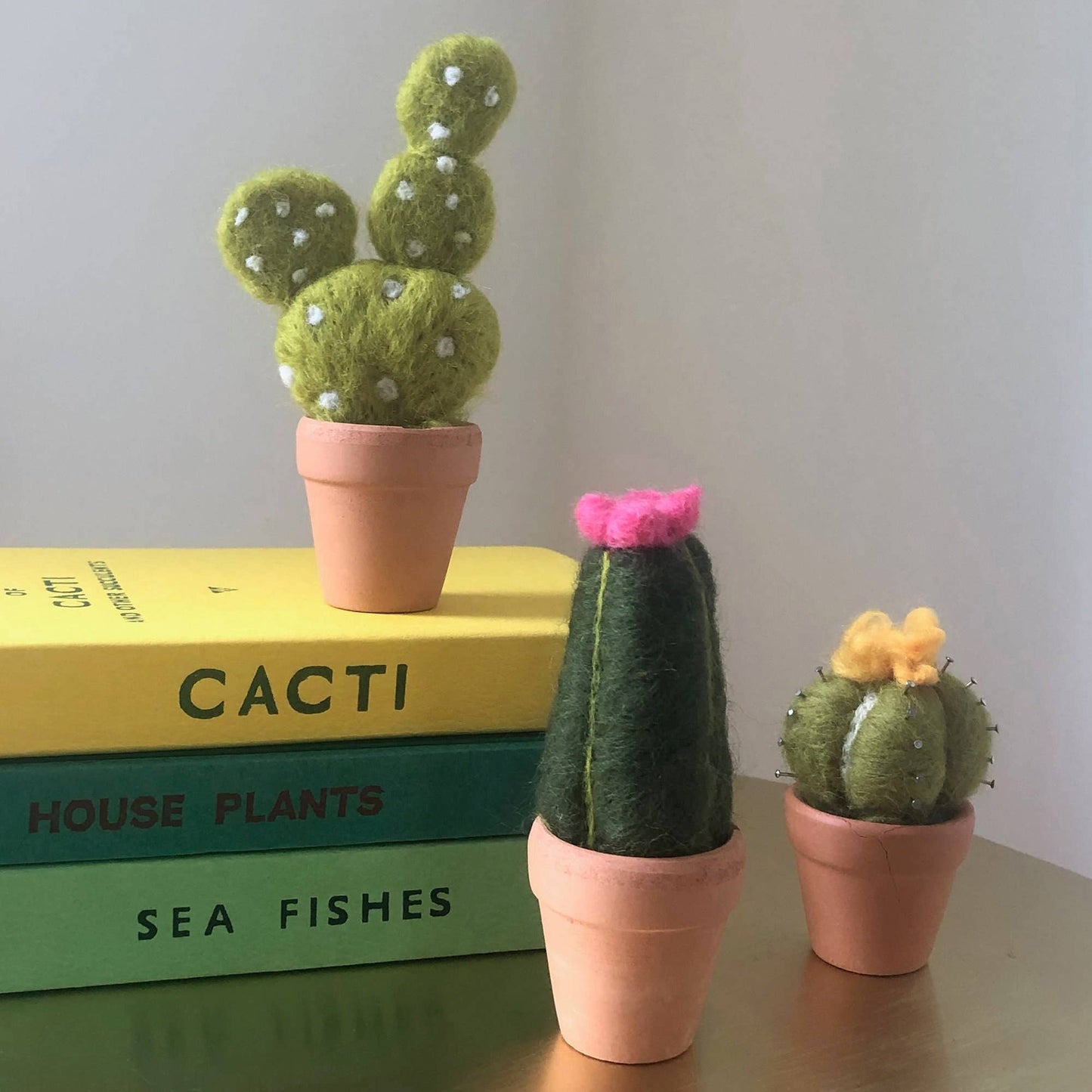 Needle Felting Kit - Cacti