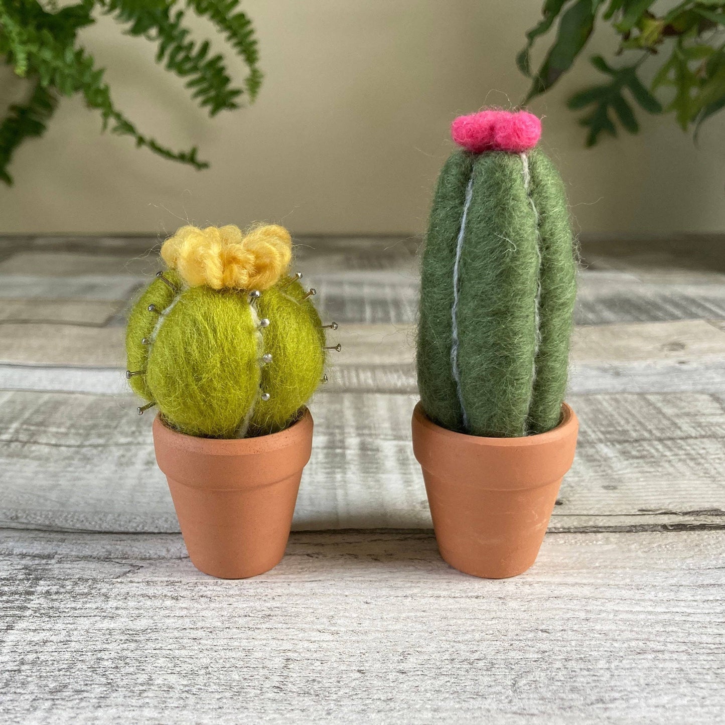 Needle Felting Kit - Cacti