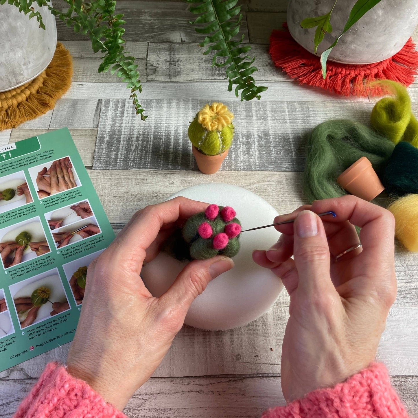 Needle Felting Kit - Cacti