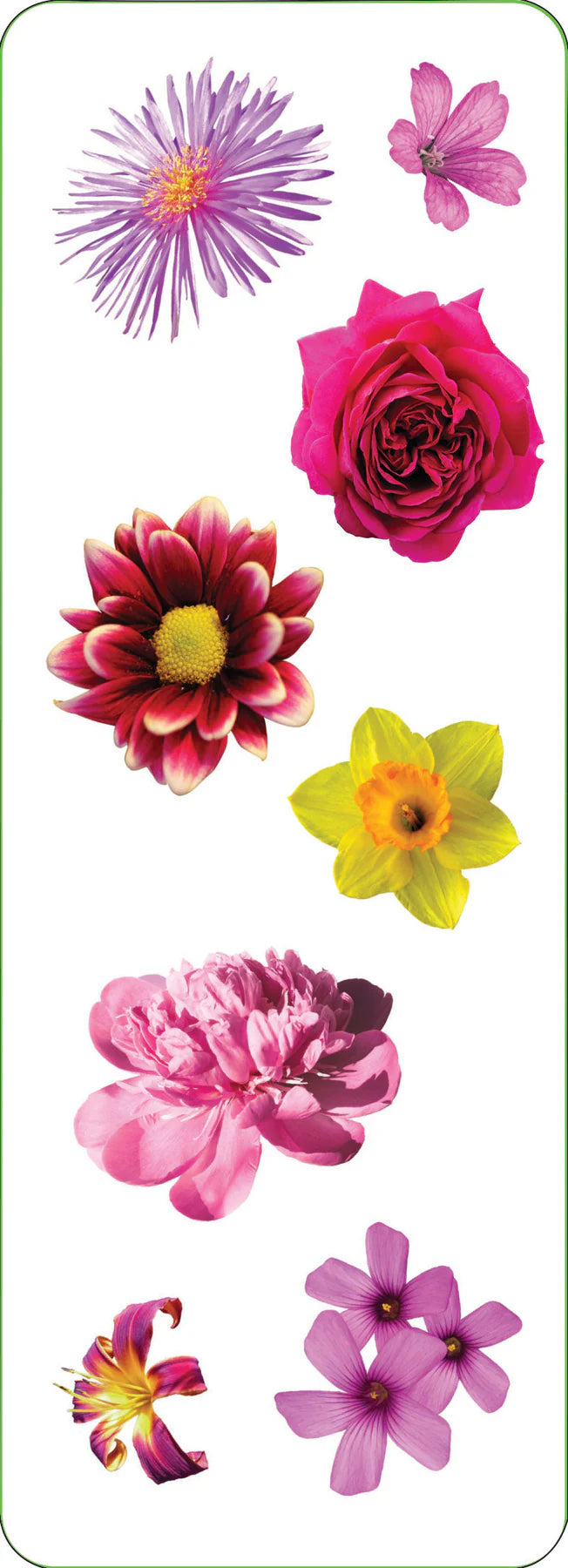Flowers Sticker Sheets