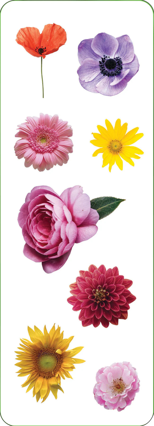Flowers Sticker Sheets