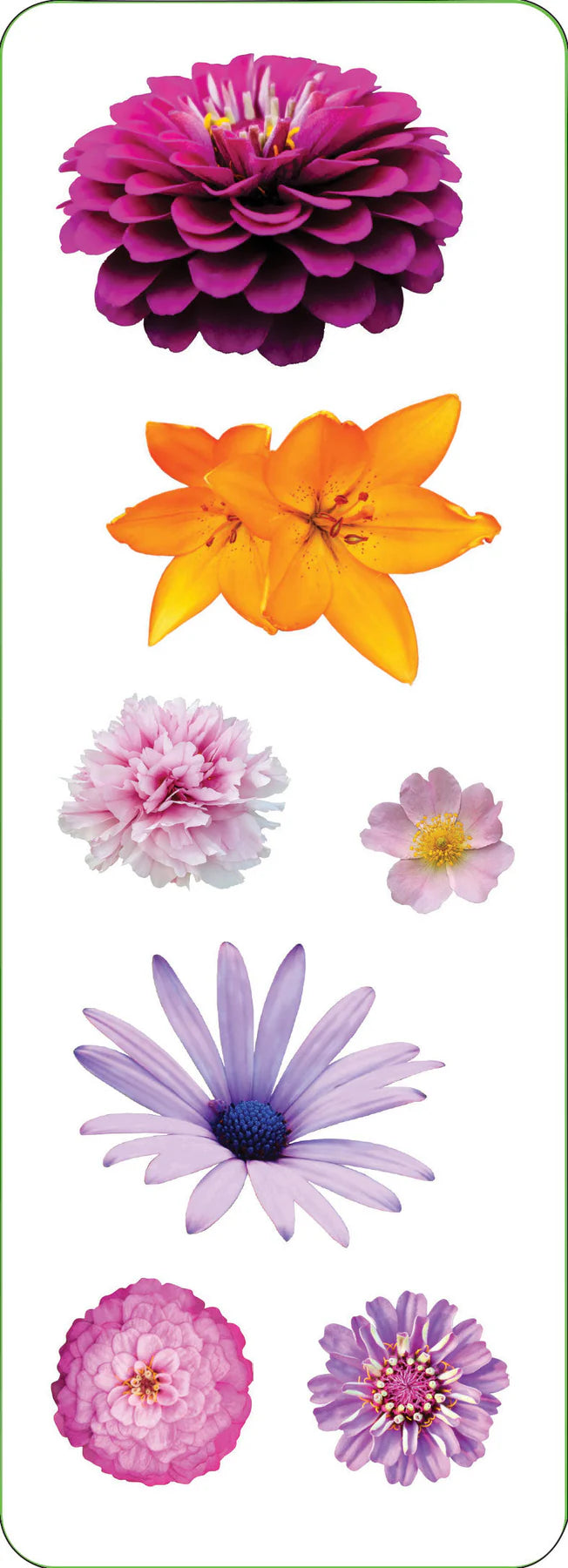 Flowers Sticker Sheets