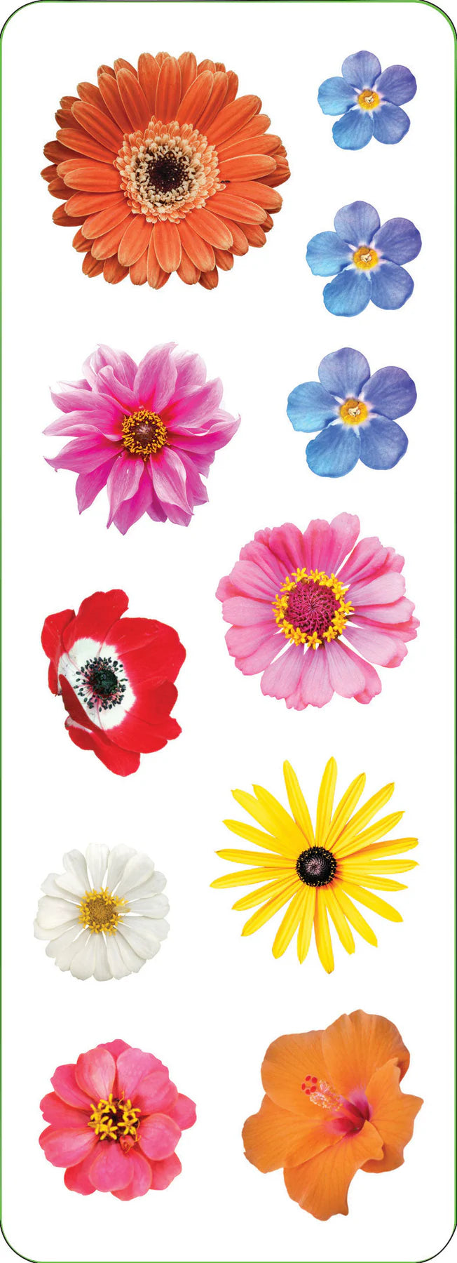 Flowers Sticker Sheets