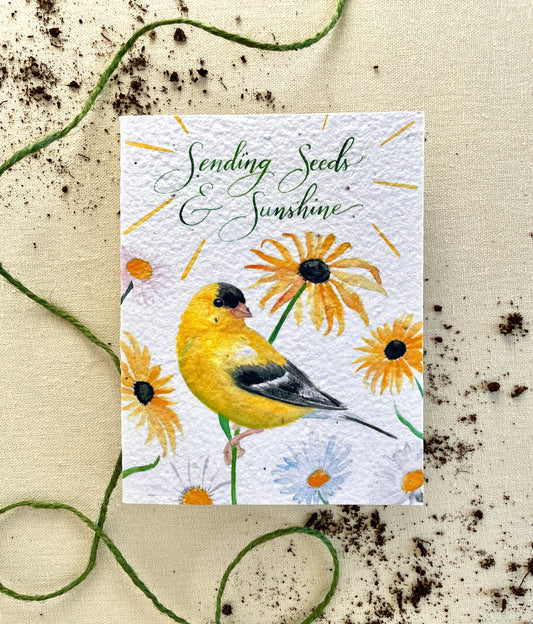 Seeds & Sunshine Plantable Wildflower Seed Card