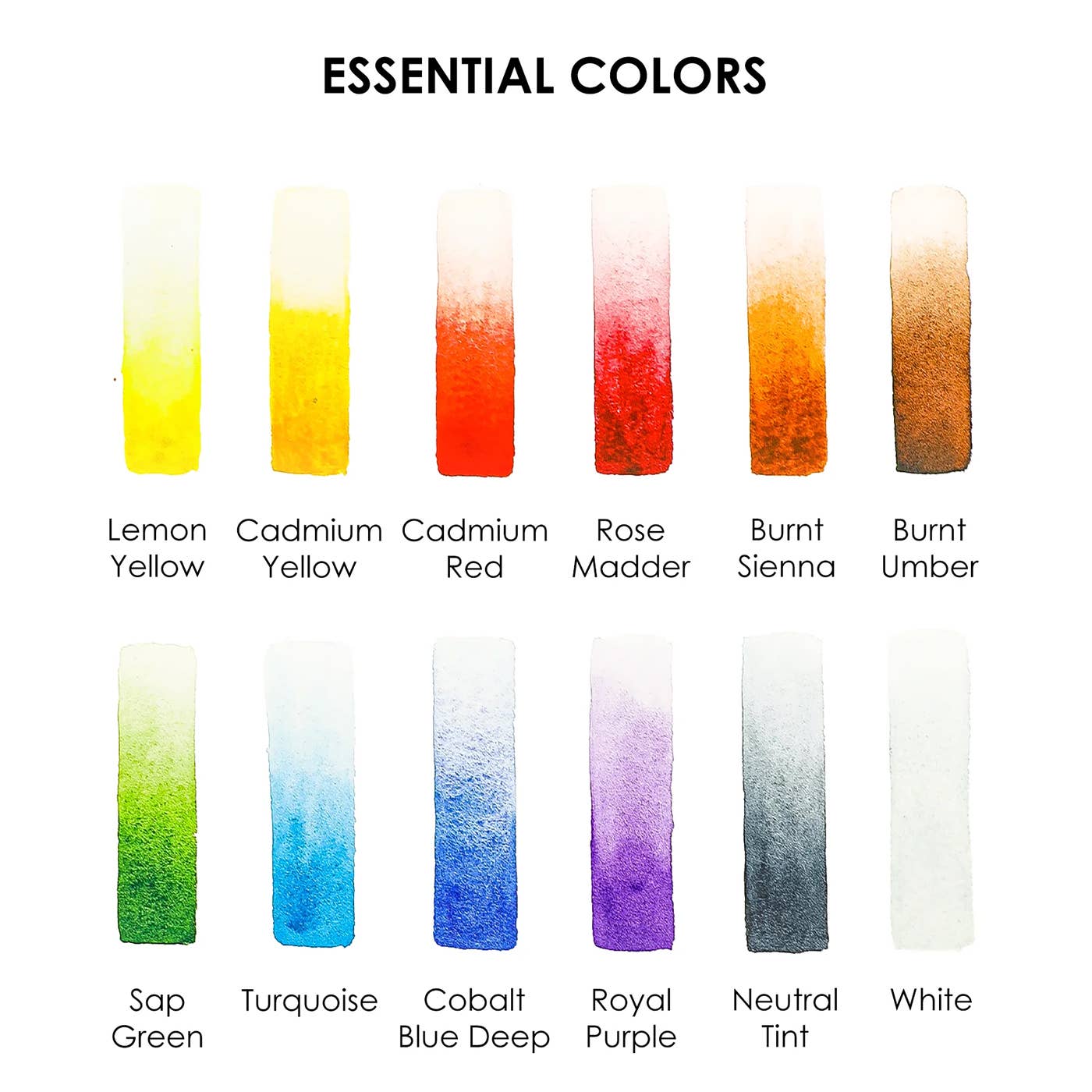 Watercolor Pocket Set of 12 - Essential Colors