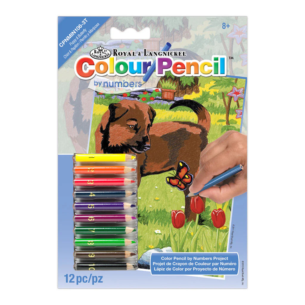Colour Pencil by numbers™ 5" x 7"