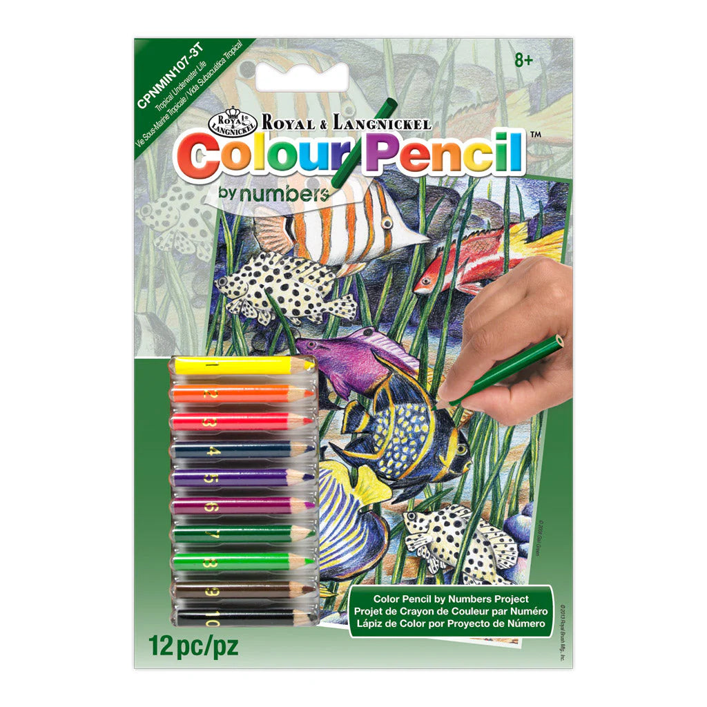 Colour Pencil by numbers™ 5" x 7"