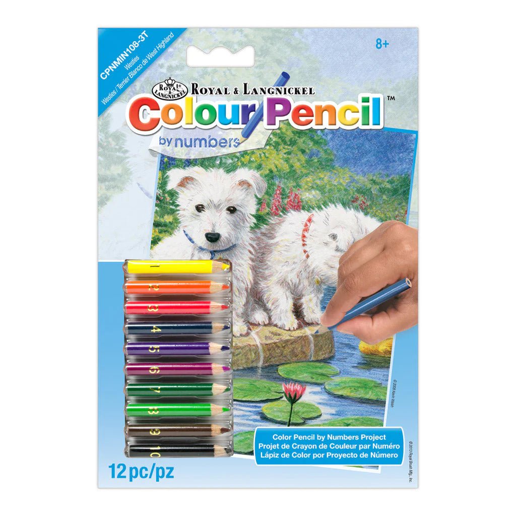 Colour Pencil by numbers™ 5" x 7"