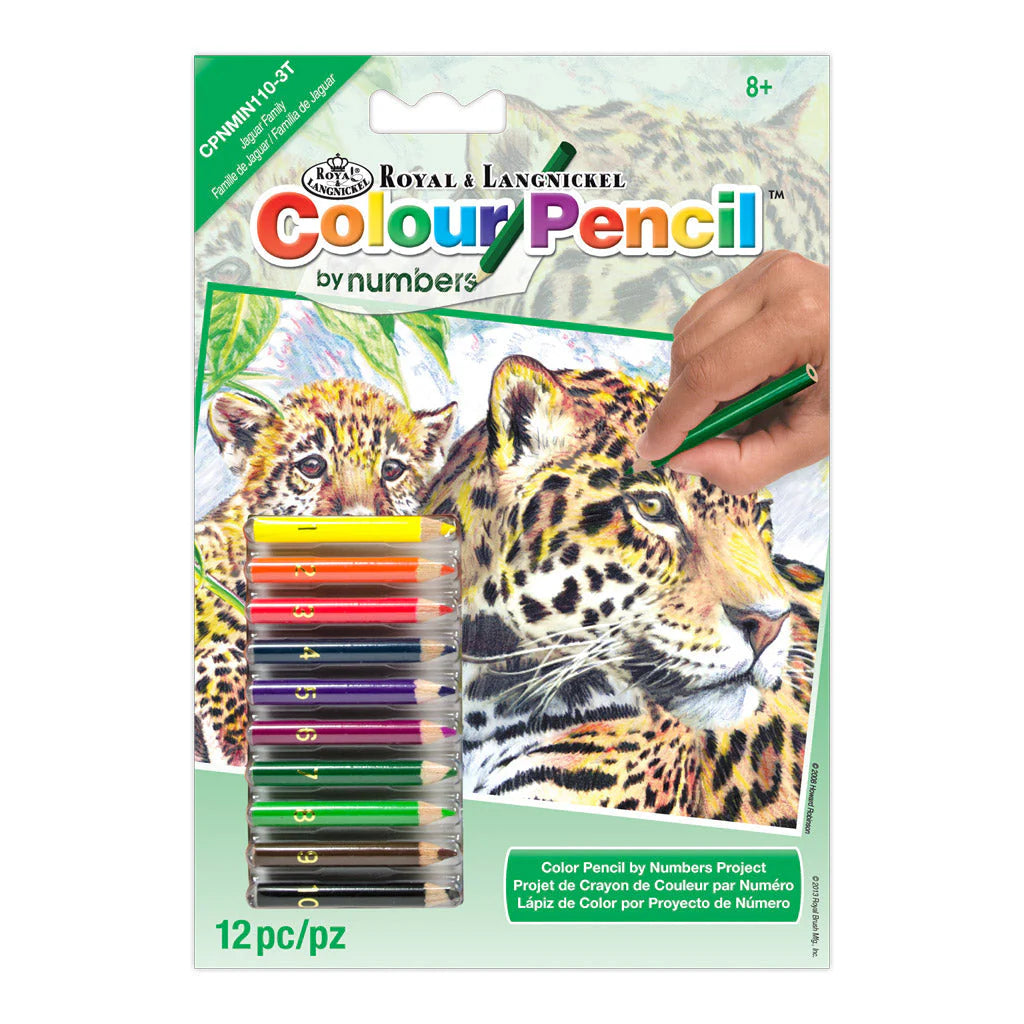 Colour Pencil by numbers™ 5" x 7"