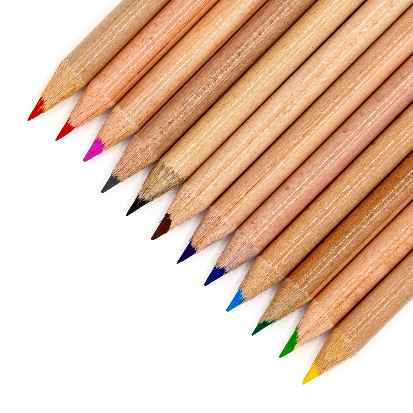 Musgrave Coloring Pencils - 12 ct.