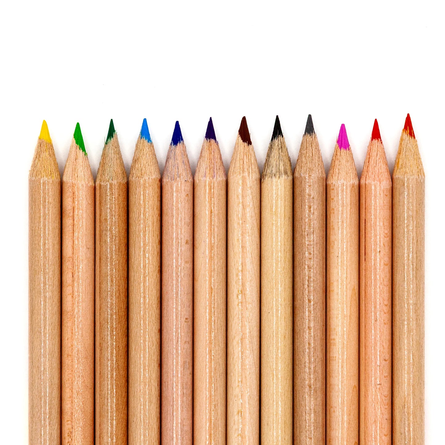 Musgrave Coloring Pencils - 12 ct.
