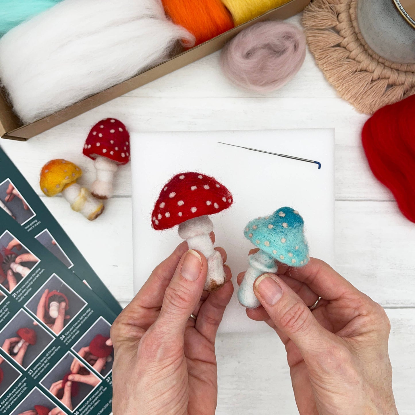 Needle Felting Kit - Toadstools