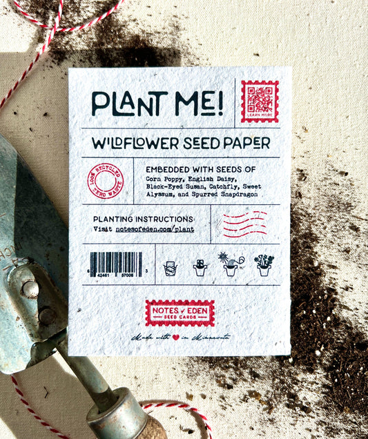 Seeds & Sunshine Plantable Wildflower Seed Card