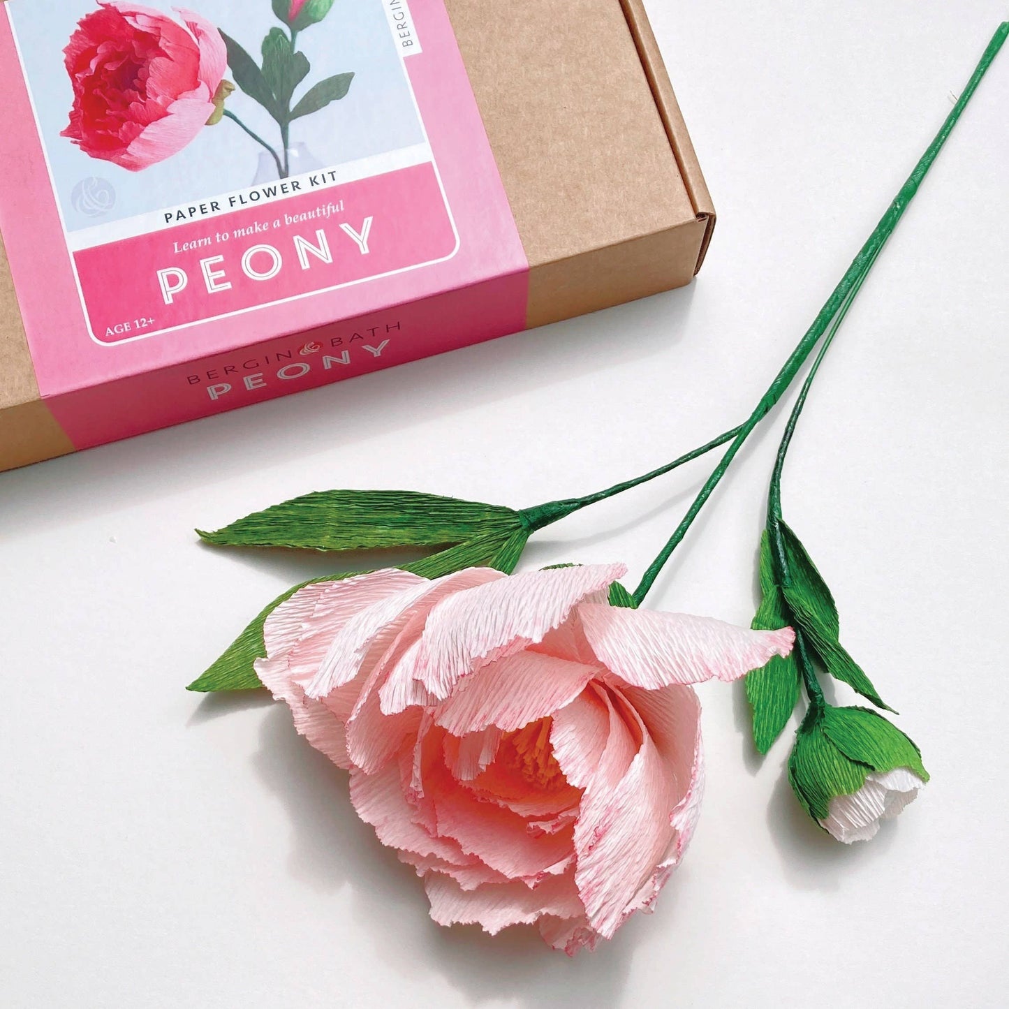 Paper Flower Kit - Peony