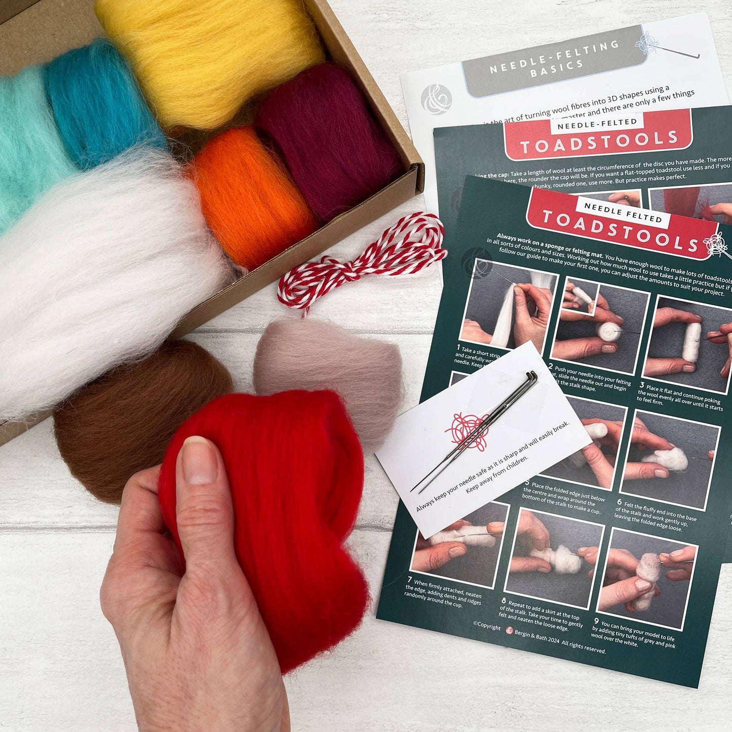 Needle Felting Kit - Toadstools