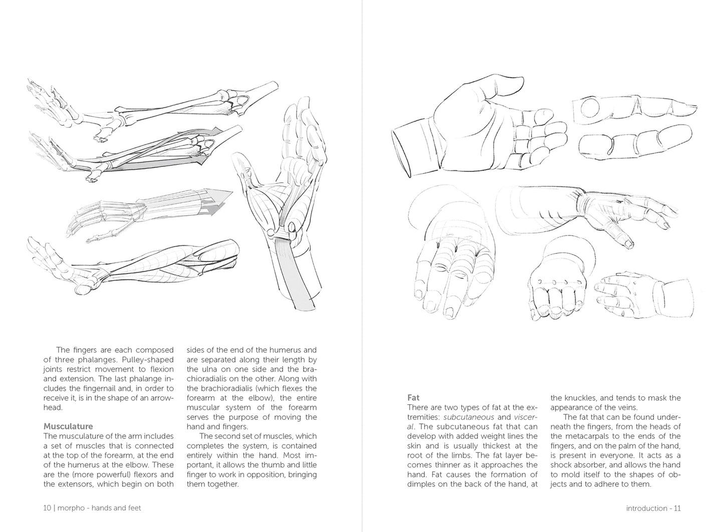 Morpho: Hands and Feet: Anatomy for Artists (Morpho: Anatomy for Artists #5)