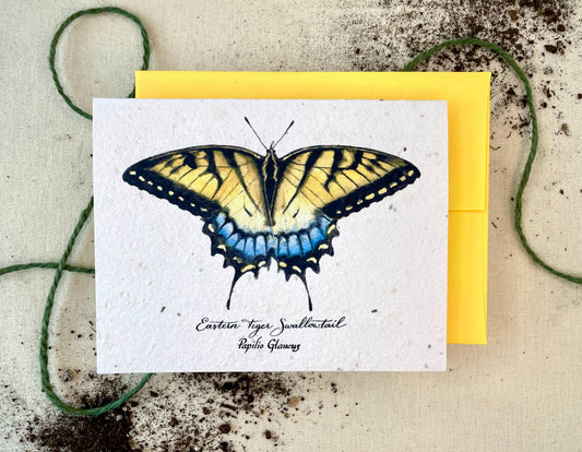 Eastern Tiger Swallowtail Butterfly Plantable Wildflower