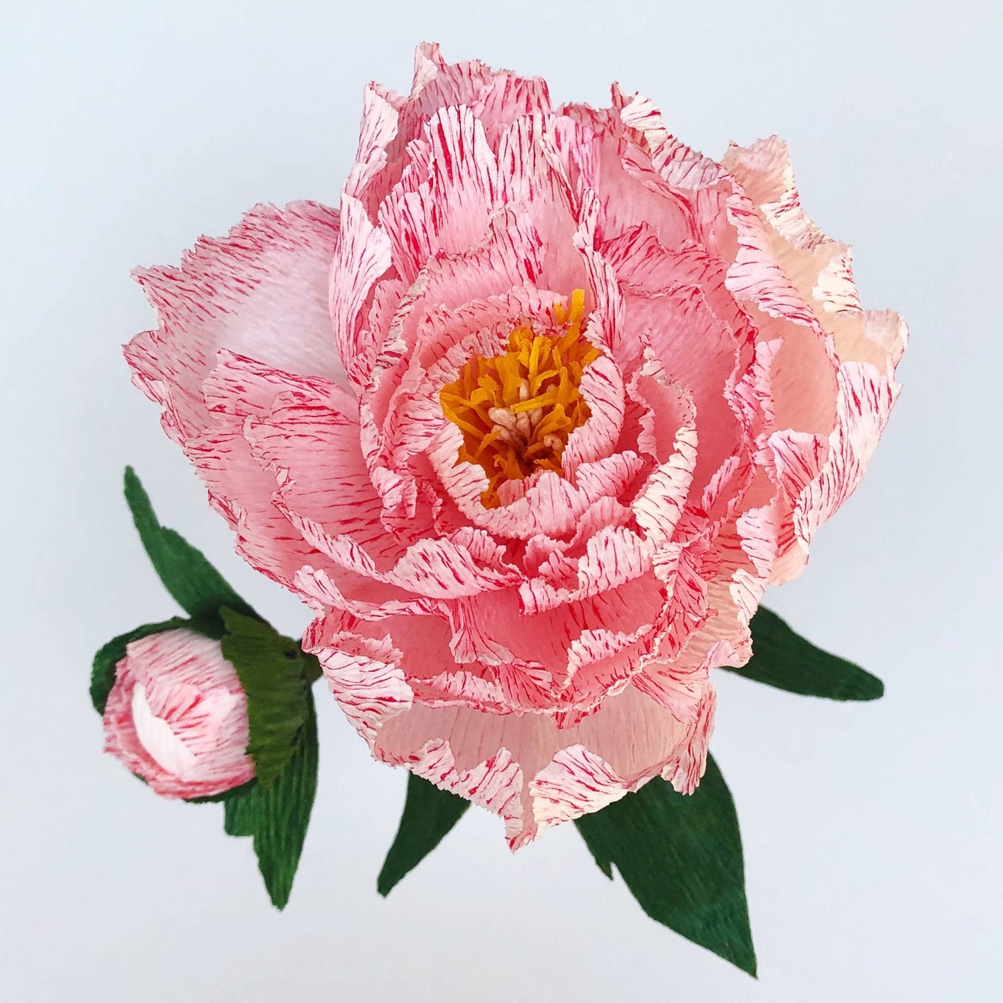 Paper Flower Kit - Peony