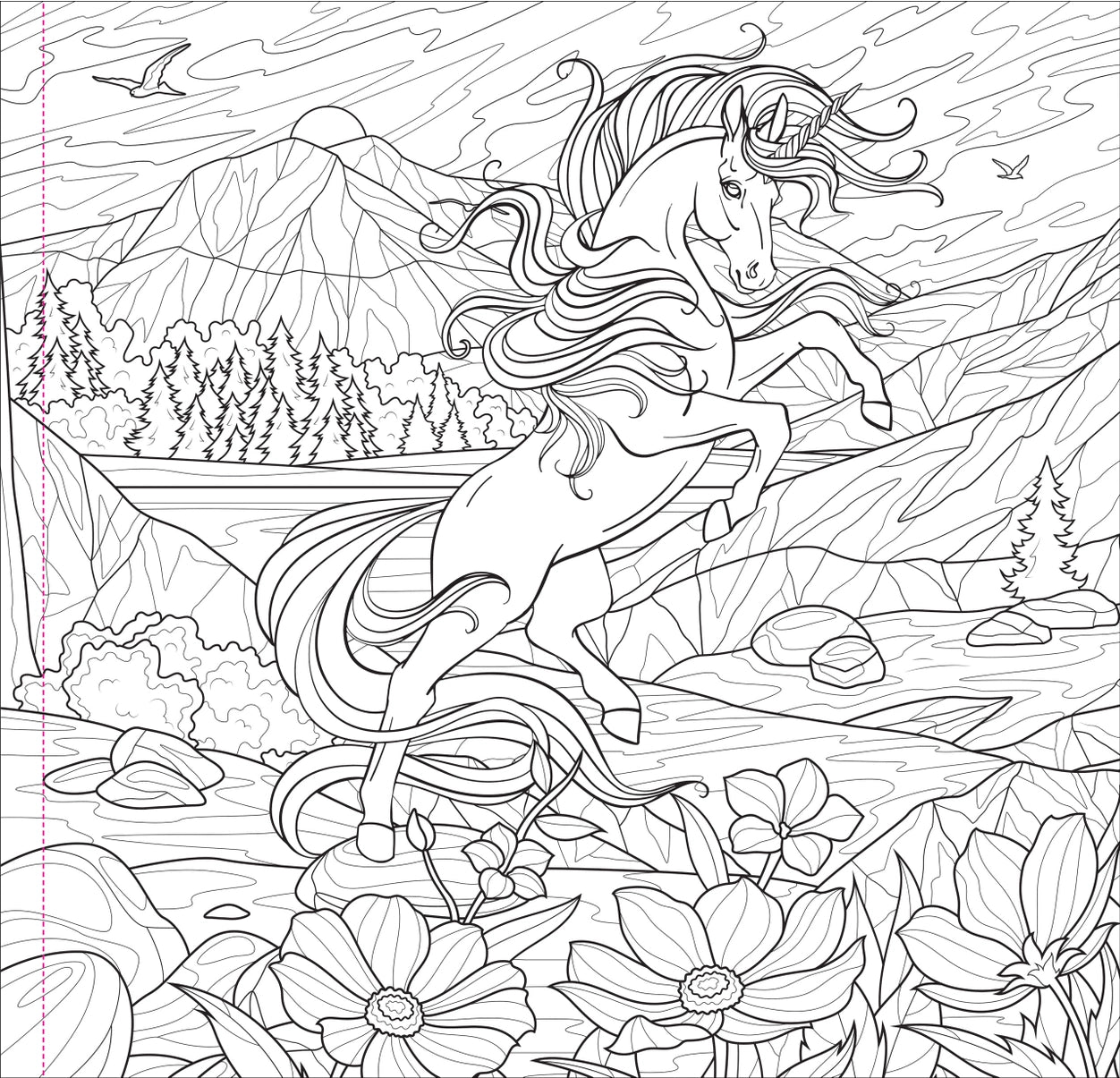 Enchanted Kingdom Coloring Book