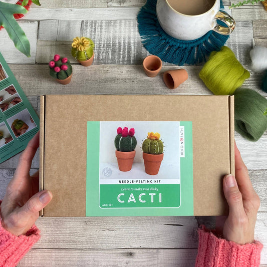 Needle Felting Kit - Cacti