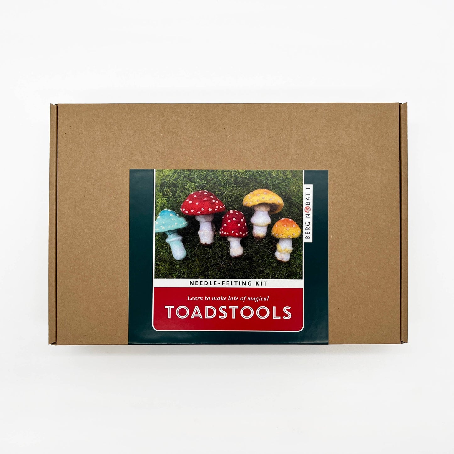 Needle Felting Kit - Toadstools