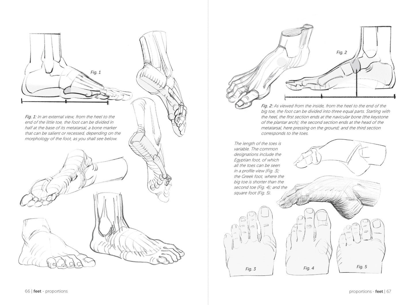 Morpho: Hands and Feet: Anatomy for Artists (Morpho: Anatomy for Artists #5)