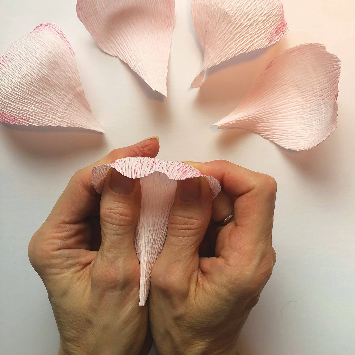 Paper Flower Kit - Peony